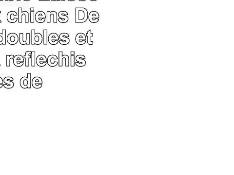 Laisse double Laisse pour deux chiens Des laisses doubles étirables et réfléchissantes