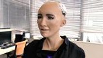 When Chun Wai met Sophia the Robot