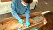 Peru discovers 19th century mummies belonging to Chinese immigrants