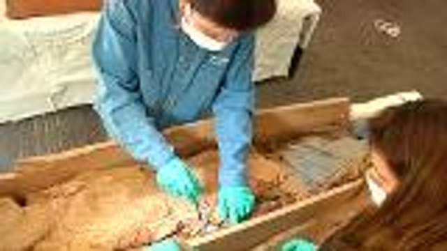 Peru discovers 19th century mummies belonging to Chinese immigrants