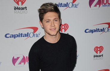 Niall Horan 'really into' Hailee Steinfeld