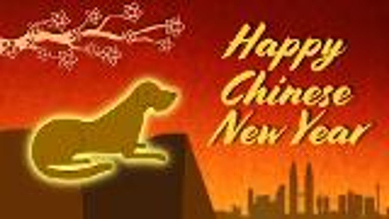 Spotlight: Optimism despite volatility