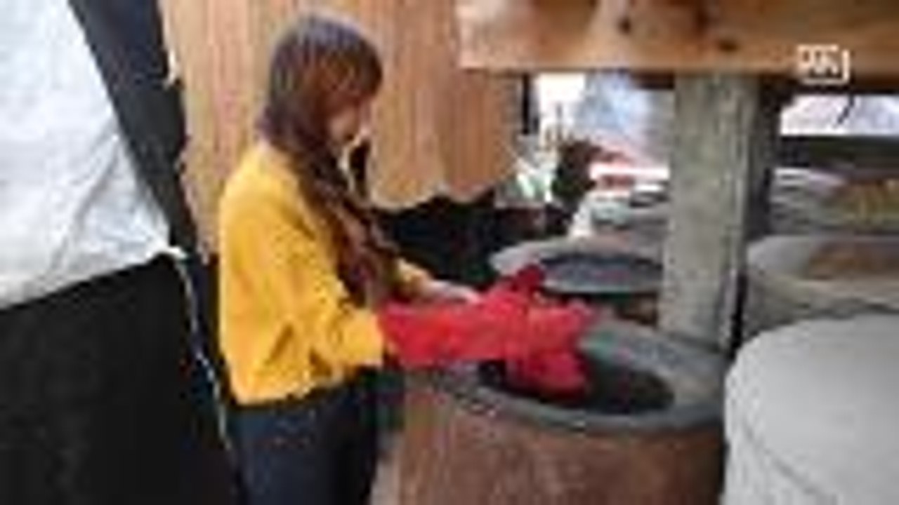 Farm that sells rice field rats become popular in northeastern Thailand