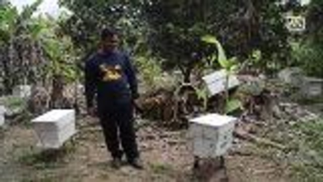 ASEAN Scoop: Beehive fence used in Thailand to deter wild elephants