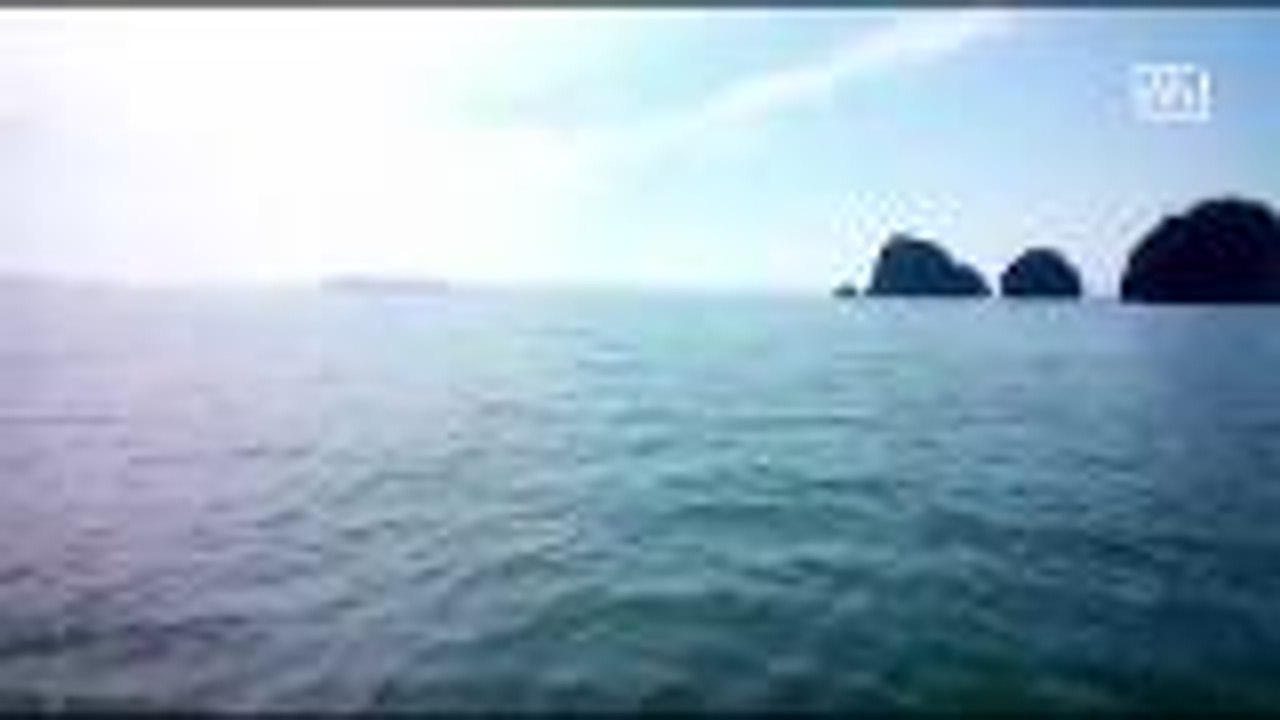 Dolphins spotted off Phang Nga
