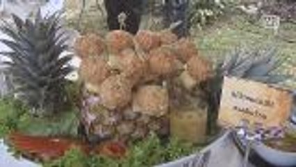 Pricey pineapples of southern Thailand