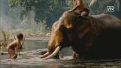 A case of mistaken identity