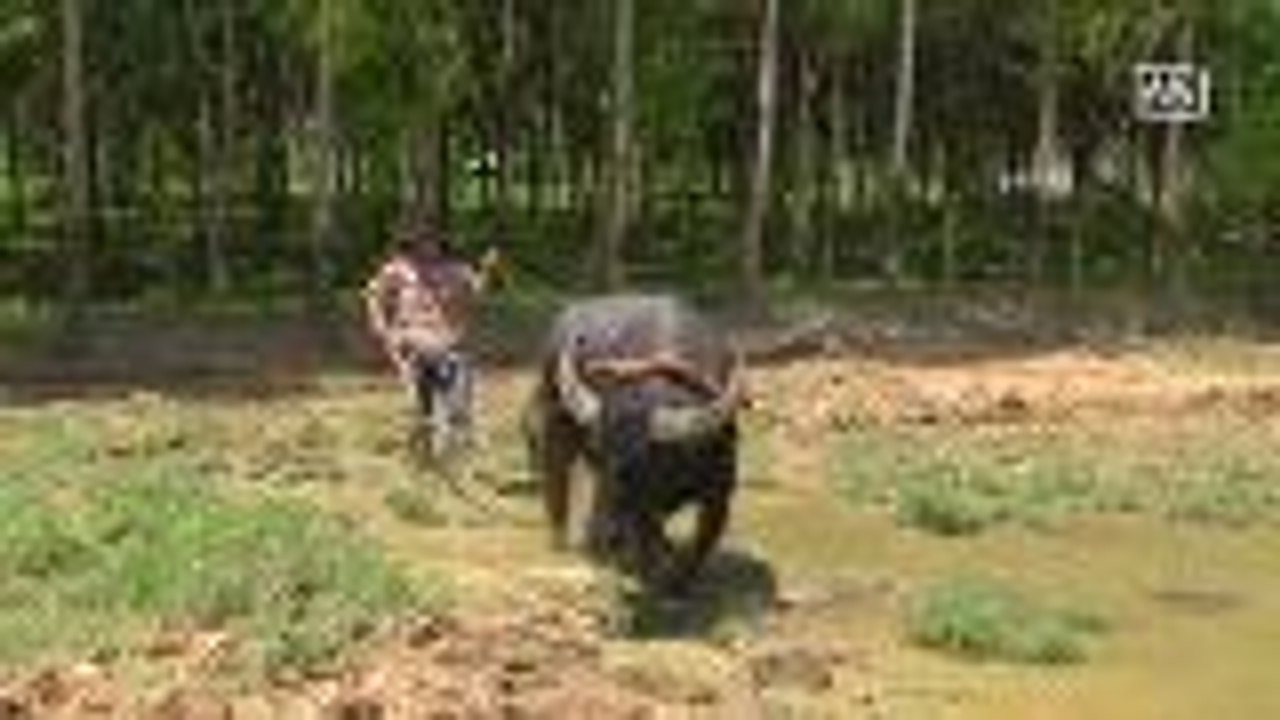 School for traditional farmers