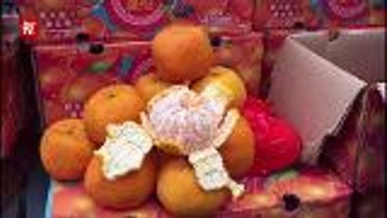 Bite into sweeter Mandarin oranges this year