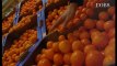 Clémentines, raisins, cerises : 3/4 de nos fruits contiennent des résidus de pesticides