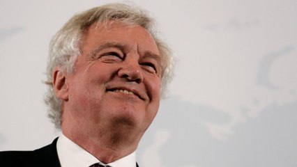David Davis: "Reino Unido não mergulhará num mundo estilo 'Mad Max" após o "Brext"