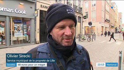 Lille : 68 euros pour un mégot