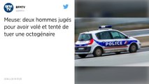 Meuse. Deux hommes jugés pour avoir tenté de noyer une octogénaire.