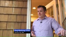 Package Thief Caught on Camera Using Dog to Fool Homeowners