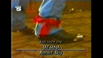 Tatjana Simic & Bas Westerweel - Awake Boy (Video Clip With Bas Westerweel Edit.