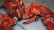AGREE? Switzerland bans killing lobsters with boiling water - ABC15 Digital