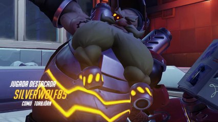 Año Lunar Overwatch Año del Perro 19