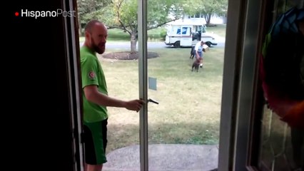 Este video prueba que los perros y los carteros no son enemigos como muestra la TV