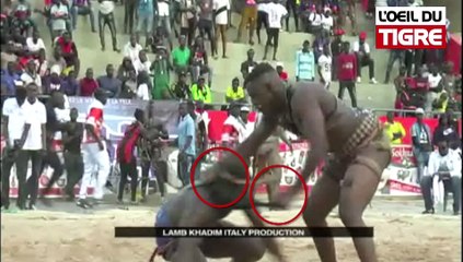 RUBRIQUE JELL BI du 20 Février 2018 avec GAUROU COUMBA & GOUY GUI dans L' Oeil Du Tigre