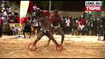 RUBRIQUE JELL BI du 20 Février 2018 avec MBAYE GOUYE GUI & LAYE GOTHÉ dans L' Oeil Du Tigre