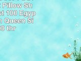 3 PC Duvet Set  1 Duvet Cover  2 Pillow Shams  Coziest 100  Egyptian Cotton Queen Size