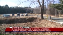10-Year-Old Girl Struck by Falling Tree While Hiking in Connecticut