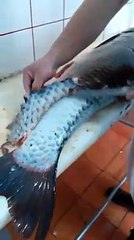 DERVENTA        RIBARNICA MILENIJUM u Milenijumu kod starog mosta