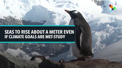 SEAS TO RISE ABOUT A METER EVEN IF CLIMATE GOALS ARE MET - STUDY