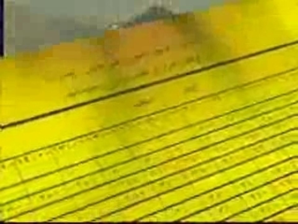 conseilles aux pelrains