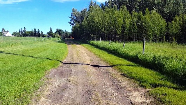 Man Films His Walks Through A Year Of Seasons & Weather