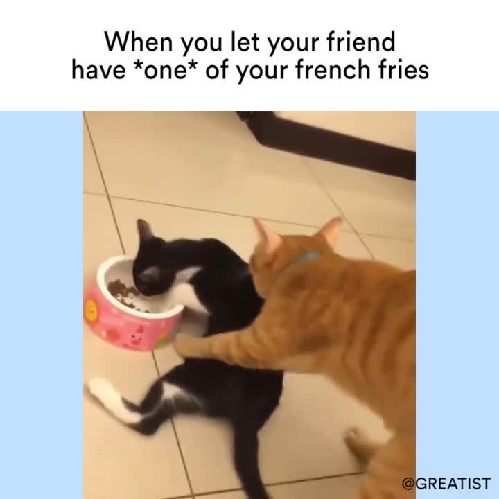 Fries