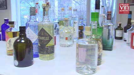 Connaissez-vous les gins français ?