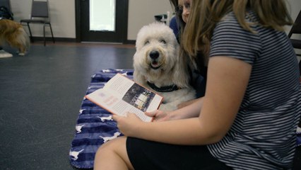 Estos Perros Ayudan a Los Niños Leer Y Es Muy Tierno