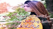 New Pakistani Song 2017-Rahat Fateh Ali New Song-Tere Siwa Kiya Jane Koi-New Sad Song-Urdu Poetry