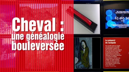 Un artiste baptisé Neandertal