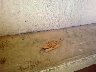 PISSHEADS 18 / MOUSETRAP AGAIN