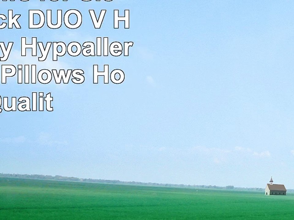 King Pillows for Sleeping 2 Pack DUO V HOME Luxury Hypoallergenic Bed Pillows Hotel