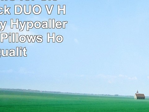 King Pillows for Sleeping 2 Pack DUO V HOME Luxury Hypoallergenic Bed Pillows Hotel