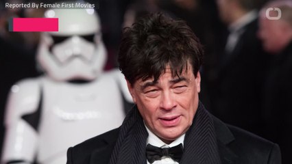 Del Toro Joins "The Rise And Fall Of The Brown Buffalo"