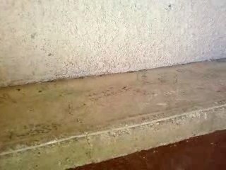 PISSHEADS 19 / MOUSETRAP AGAIN AGAIN !!