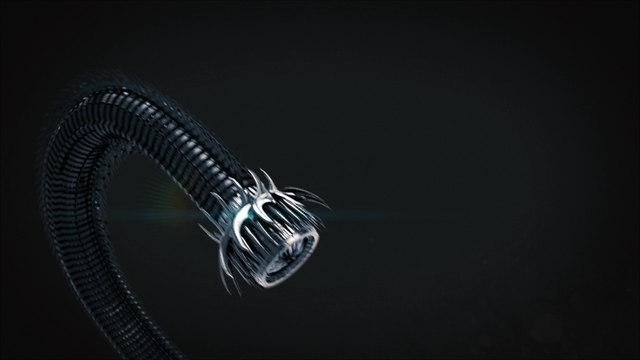 BK Ranching Company LLC Advert 4