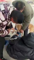 Ce chien ne veut pas lâcher la jambe d'un voleur mordu au passage