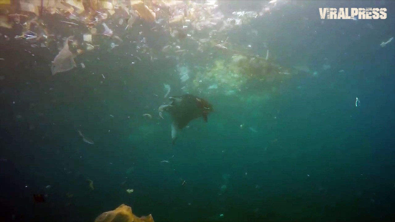 Plastic Pollution At Nusa Lembongan