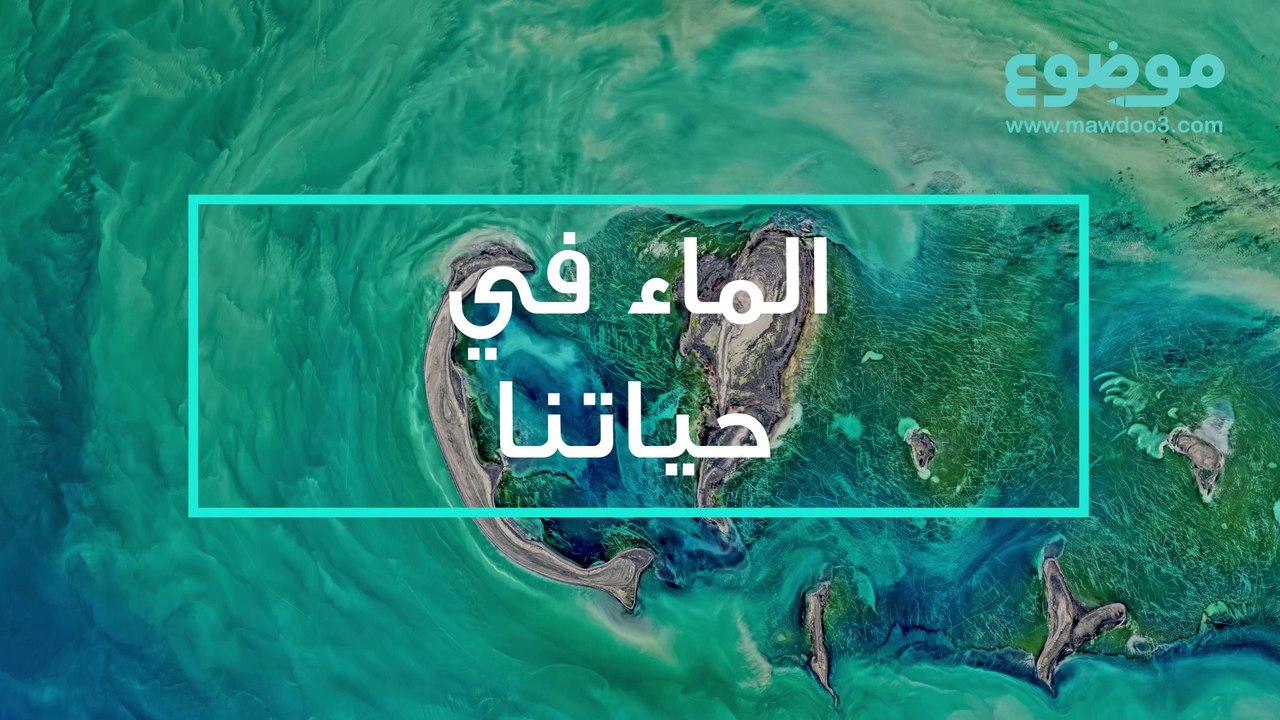 الماء في حياتنا