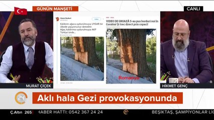 CHP'nin Yalova'daki ağaç katliamı