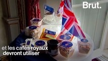 La famille royale britannique s’attaque au plastique