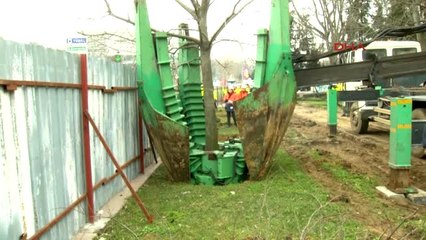 Maçka Parkı'ndan Taşınan 176 Ağaç Sarıyer'deki Tabiat Parkına Dikildi