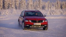 Skoda Octavia Scout driving in winter conditions