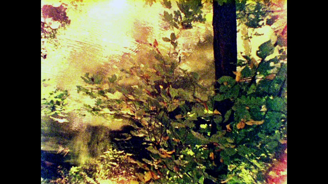 Voyage au delà du paysage bobine 67