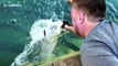 Amazing slow motion footage of hand-feeding a giant fish